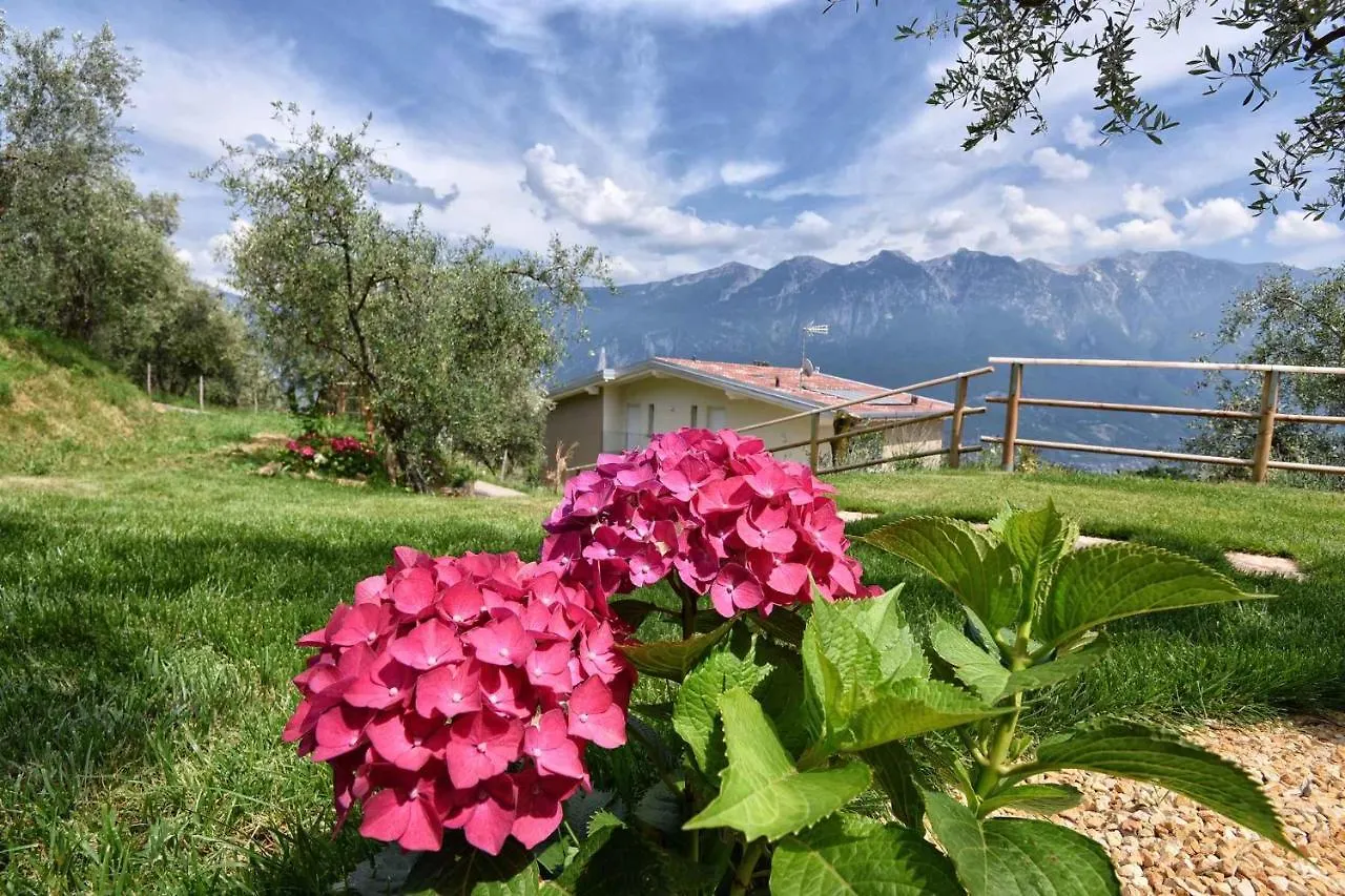 Apartments In Tremosine/Gardasee 34618 Italy